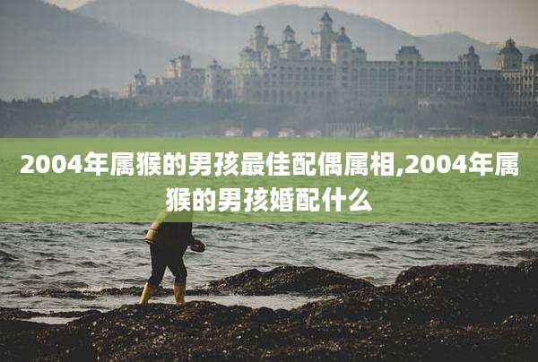 2004年属猴的男孩最佳配偶属相,2004年属猴的男孩婚配什么
