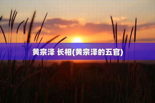 黄宗泽 长相(黄宗泽的五官)