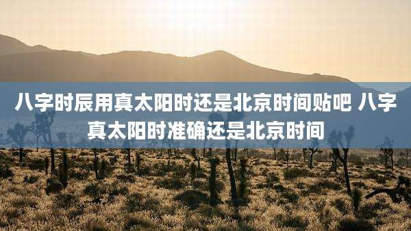 八字时辰用真太阳时还是北京时间贴吧 八字真太阳时准确还是北京时间