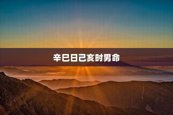 辛巳日己亥时男命