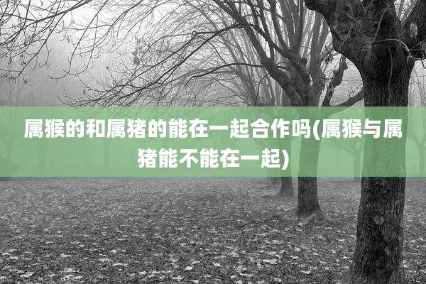 属猴的和属猪的能在一起合作吗(属猴与属猪能不能在一起)