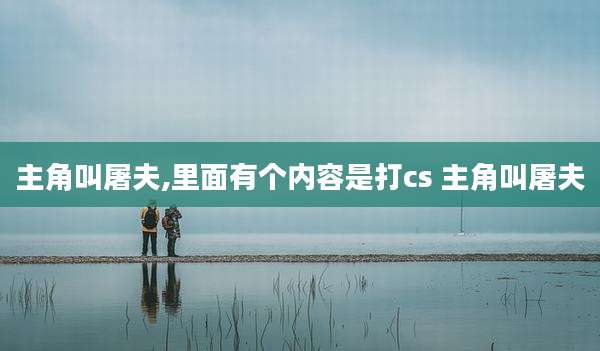主角叫屠夫,里面有个内容是打cs 主角叫屠夫