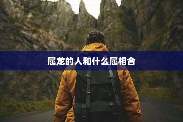 属龙的人和什么属相合