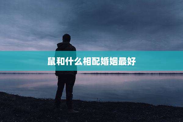 鼠和什么相配婚姻最好