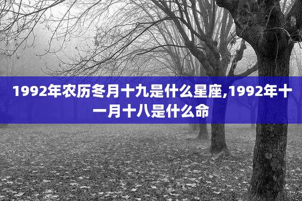 1992年农历冬月十九是什么星座,1992年十一月十八是什么命