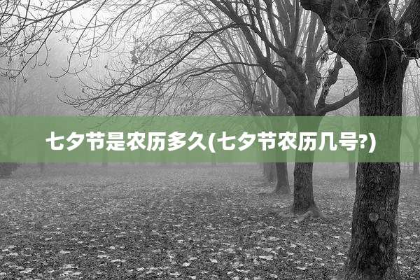 七夕节是农历多久(七夕节农历几号?)