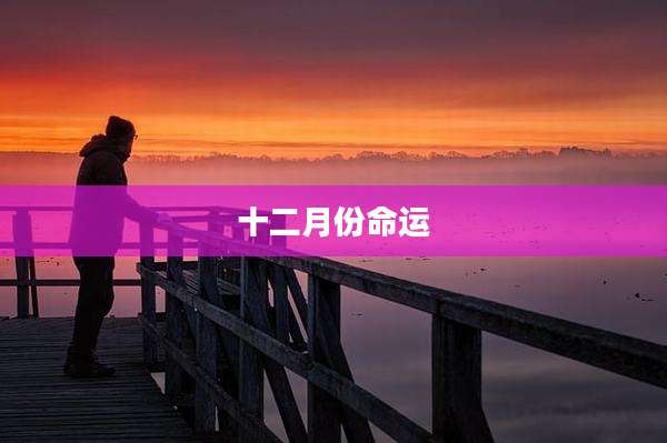 十二月份命运