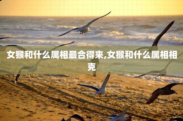 女猴和什么属相最合得来,女猴和什么属相相克