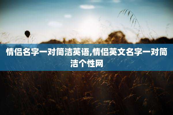 情侣名字一对简洁英语,情侣英文名字一对简洁个性网