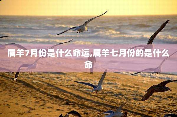 属羊7月份是什么命运,属羊七月份的是什么命