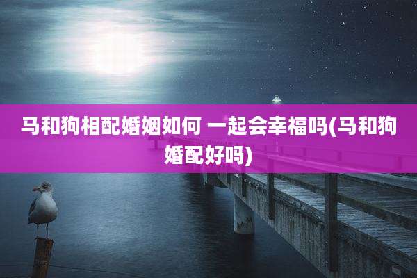 马和狗相配婚姻如何 一起会幸福吗(马和狗婚配好吗)