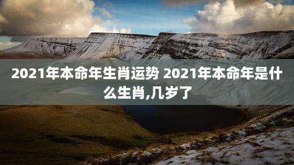 2021年本命年生肖运势 2021年本命年是什么生肖,几岁了