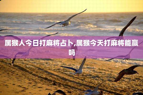 属猴人今日打麻将占卜,属猴今天打麻将能赢吗