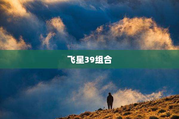 飞星39组合