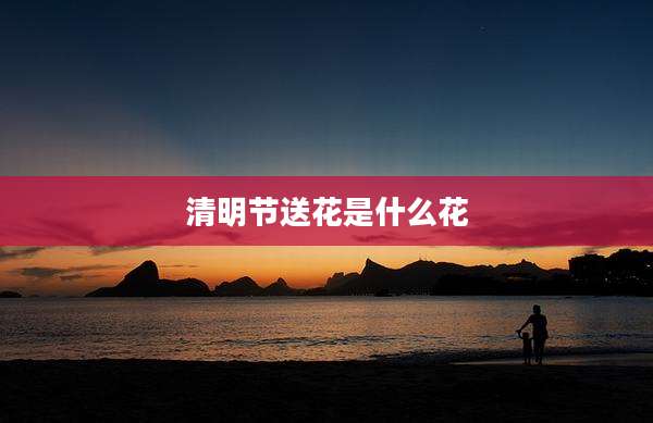 清明节送花是什么花