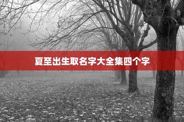 夏至出生取名字大全集四个字