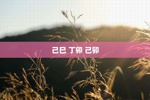 己巳 丁卯 己卯