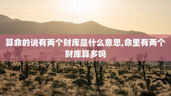 算命的说有两个财库是什么意思,命里有两个财库算多吗