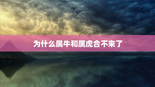 为什么属牛和属虎合不来了