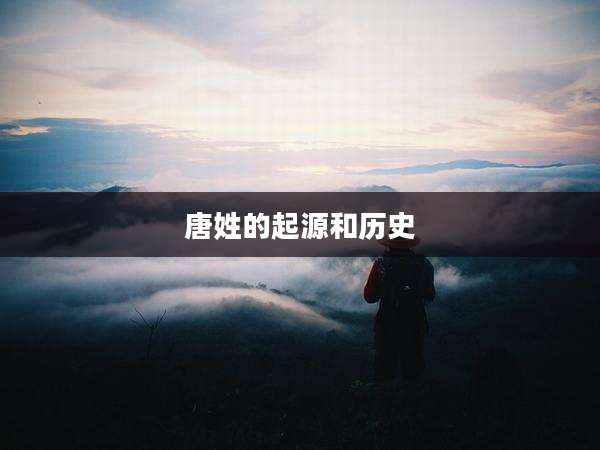 唐姓的起源和历史
