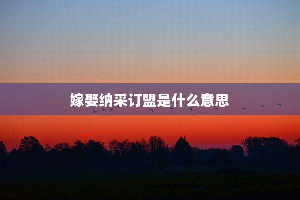 嫁娶纳采订盟是什么意思