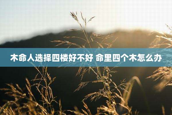 木命人选择四楼好不好 命里四个木怎么办