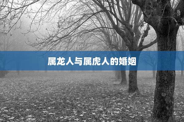 属龙人与属虎人的婚姻