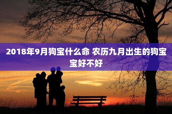 2018年9月狗宝什么命 农历九月出生的狗宝宝好不好