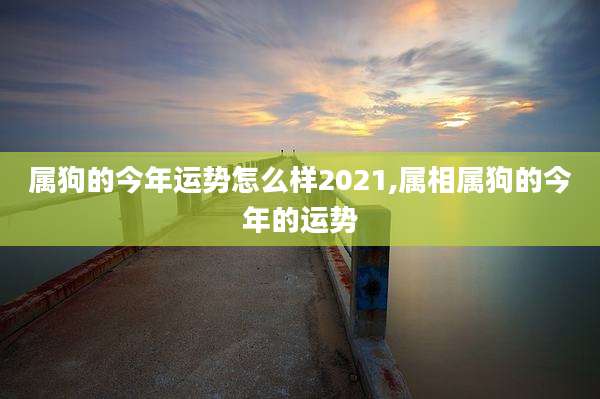 属狗的今年运势怎么样2021,属相属狗的今年的运势