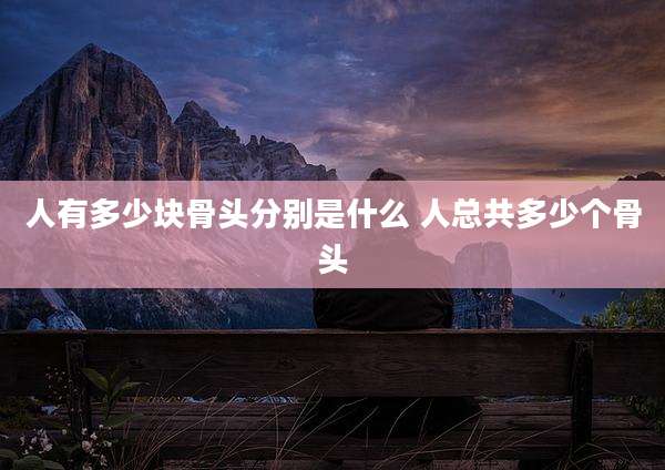 人有多少块骨头分别是什么 人总共多少个骨头