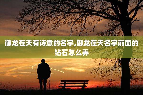 御龙在天有诗意的名字,御龙在天名字前面的钻石怎么弄
