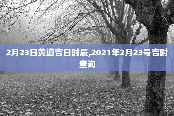2月23日黄道吉日时辰,2021年2月23号吉时查询