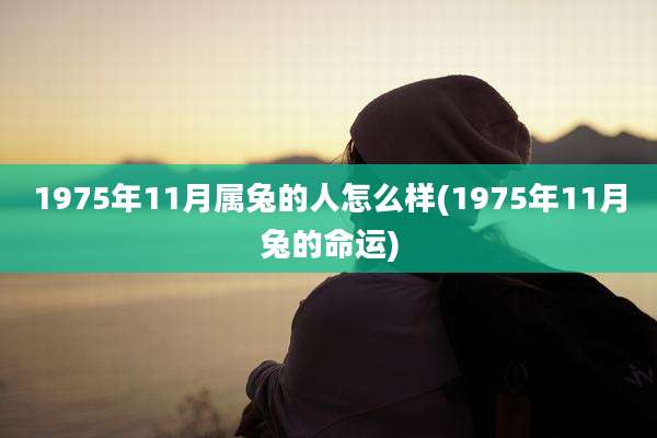 1975年11月属兔的人怎么样(1975年11月兔的命运)