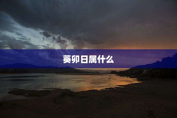 葵卯日属什么