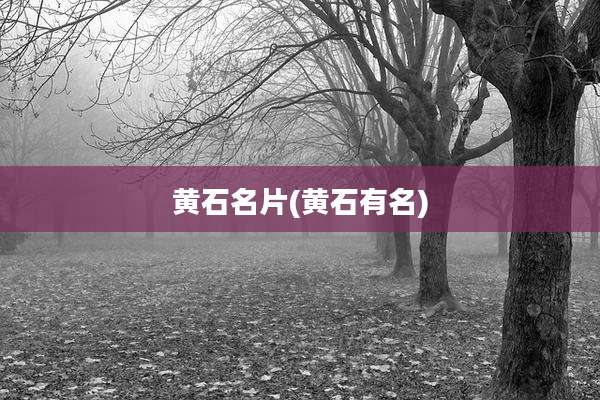 黄石名片(黄石有名)