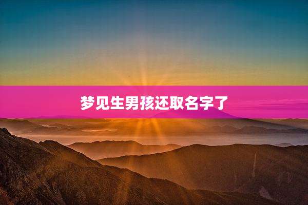 梦见生男孩还取名字了
