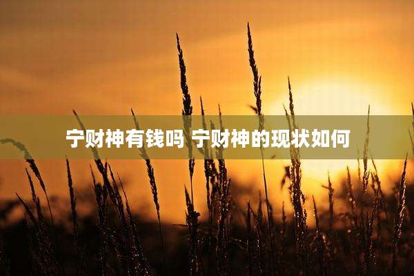 宁财神有钱吗 宁财神的现状如何