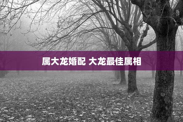 属大龙婚配 大龙最佳属相