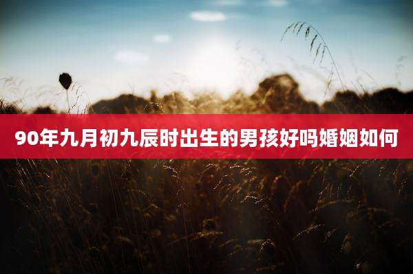 90年九月初九辰时出生的男孩好吗婚姻如何
