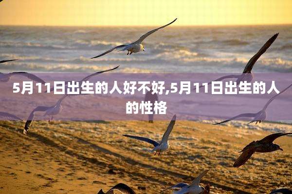 5月11日出生的人好不好,5月11日出生的人的性格