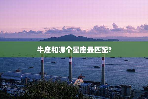 牛座和哪个星座最匹配?