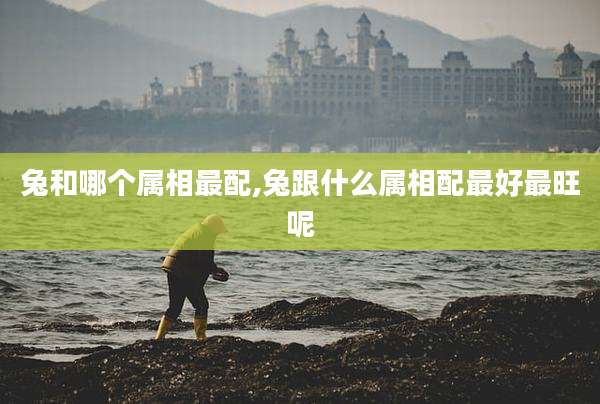 兔和哪个属相最配,兔跟什么属相配最好最旺呢