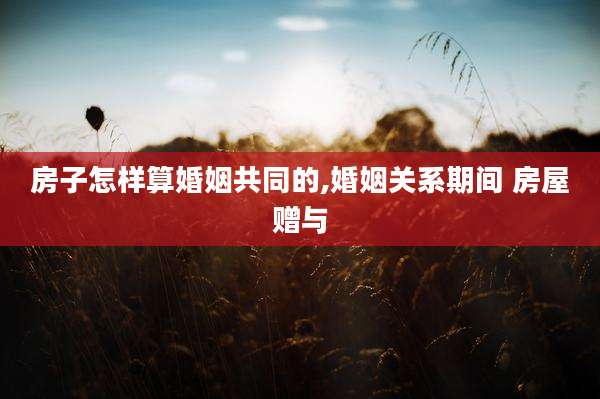 房子怎样算婚姻共同的,婚姻关系期间 房屋赠与