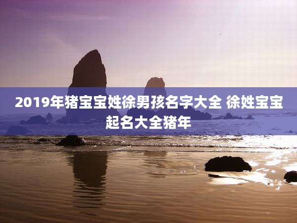2019年猪宝宝姓徐男孩名字大全 徐姓宝宝起名大全猪年