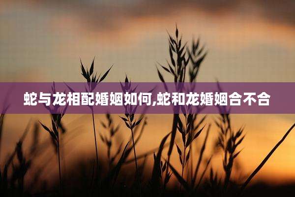 蛇与龙相配婚姻如何,蛇和龙婚姻合不合