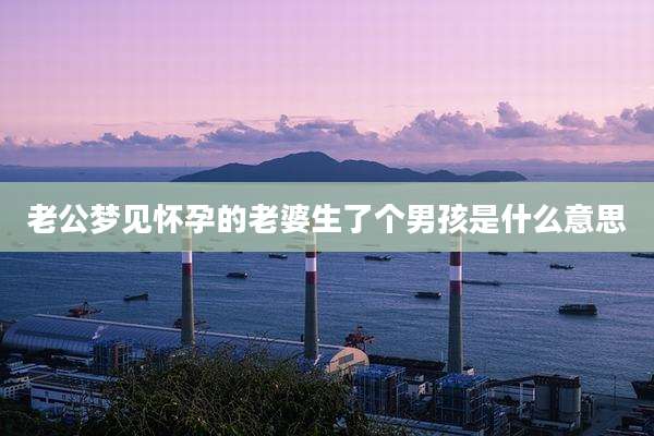 老公梦见怀孕的老婆生了个男孩是什么意思