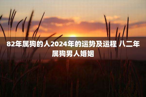 82年属狗的人2024年的运势及运程 八二年属狗男人婚姻