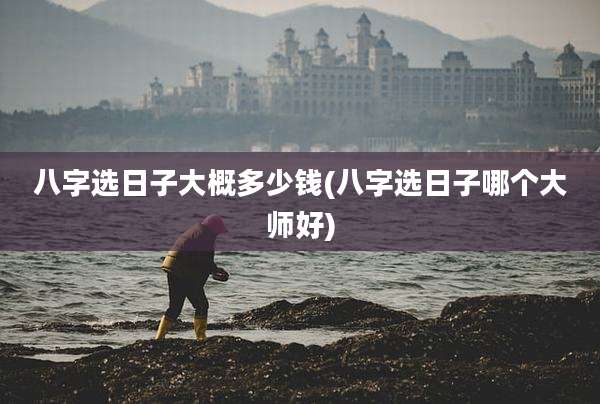 八字选日子大概多少钱(八字选日子哪个大师好)