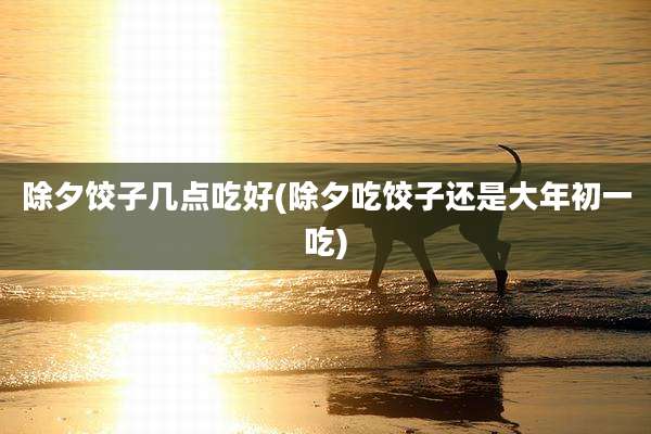 除夕饺子几点吃好(除夕吃饺子还是大年初一吃)