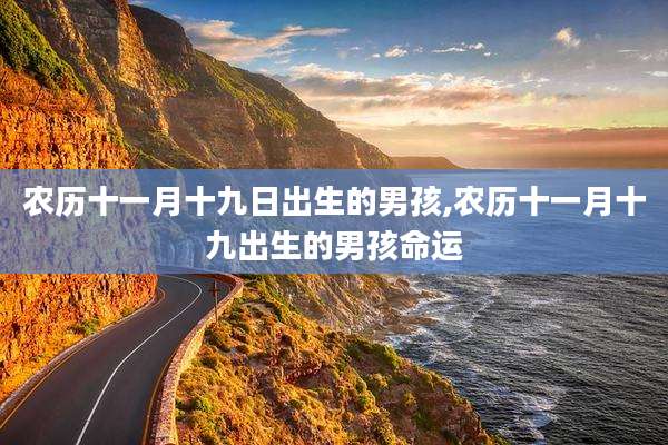 农历十一月十九日出生的男孩,农历十一月十九出生的男孩命运